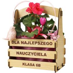 Zestaw doniczka + świecąca lampka dla...