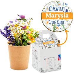 Prezent na Dzień Kobiet 8 marca zestaw do...