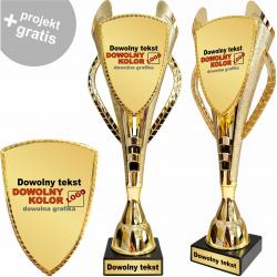 Puchar złoty z personalizowaną tabliczką 30 cm...