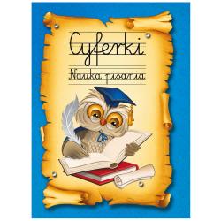 Książeczka Nauka Pisania Literki dla dzieci...